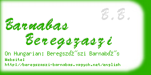 barnabas beregszaszi business card